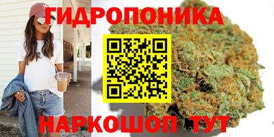 кокс Бузулук