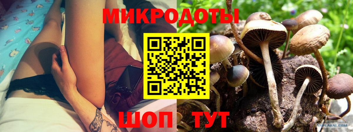 Краснокаменск  Псилоцибиновые грибы прущие грибы  Вход с VPN  Галлюциногенные грибы GOLDEN TEACHER 